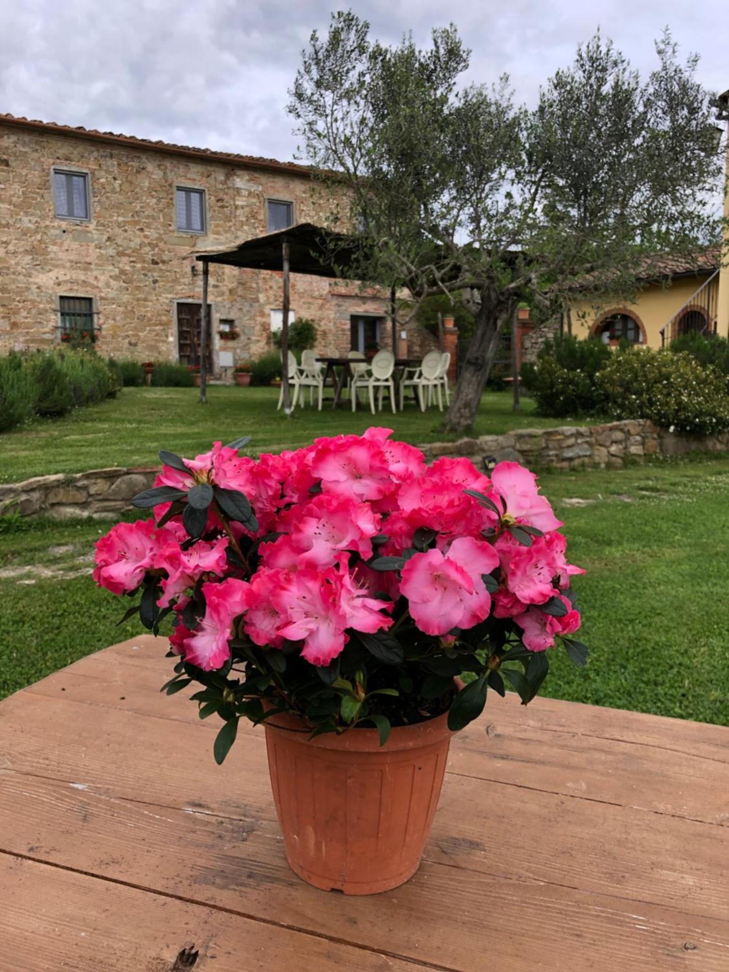 Agriturismo La Posta Reale Кастільйон-Фібоккі Екстер'єр фото